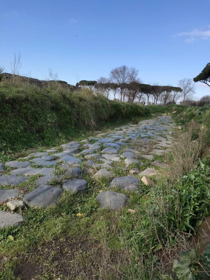 Agli Acquedotti Romani المظهر الخارجي الصورة